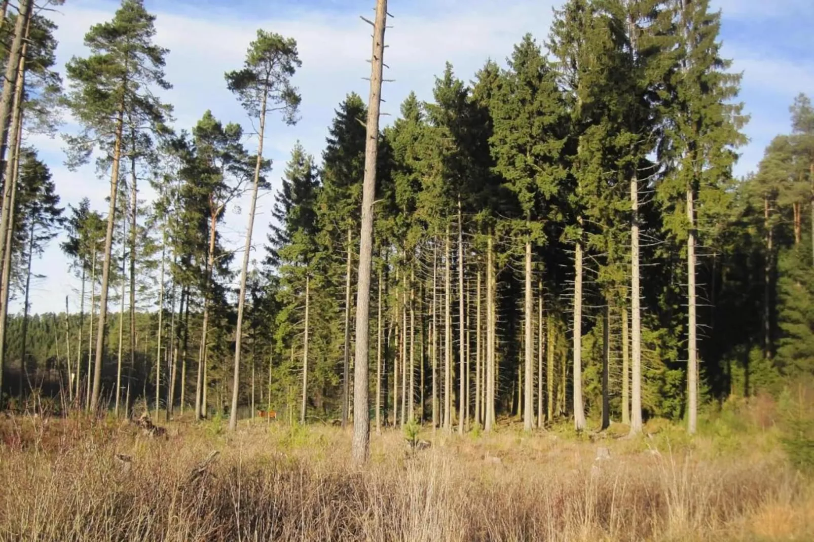 Ferienhaus Bremer-Areas within 20km in summer