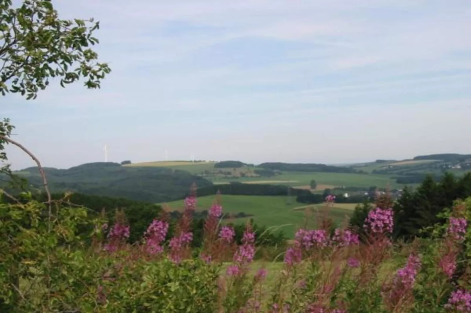 Feriendorf Reinskopf 5-Areas within 5km in summer