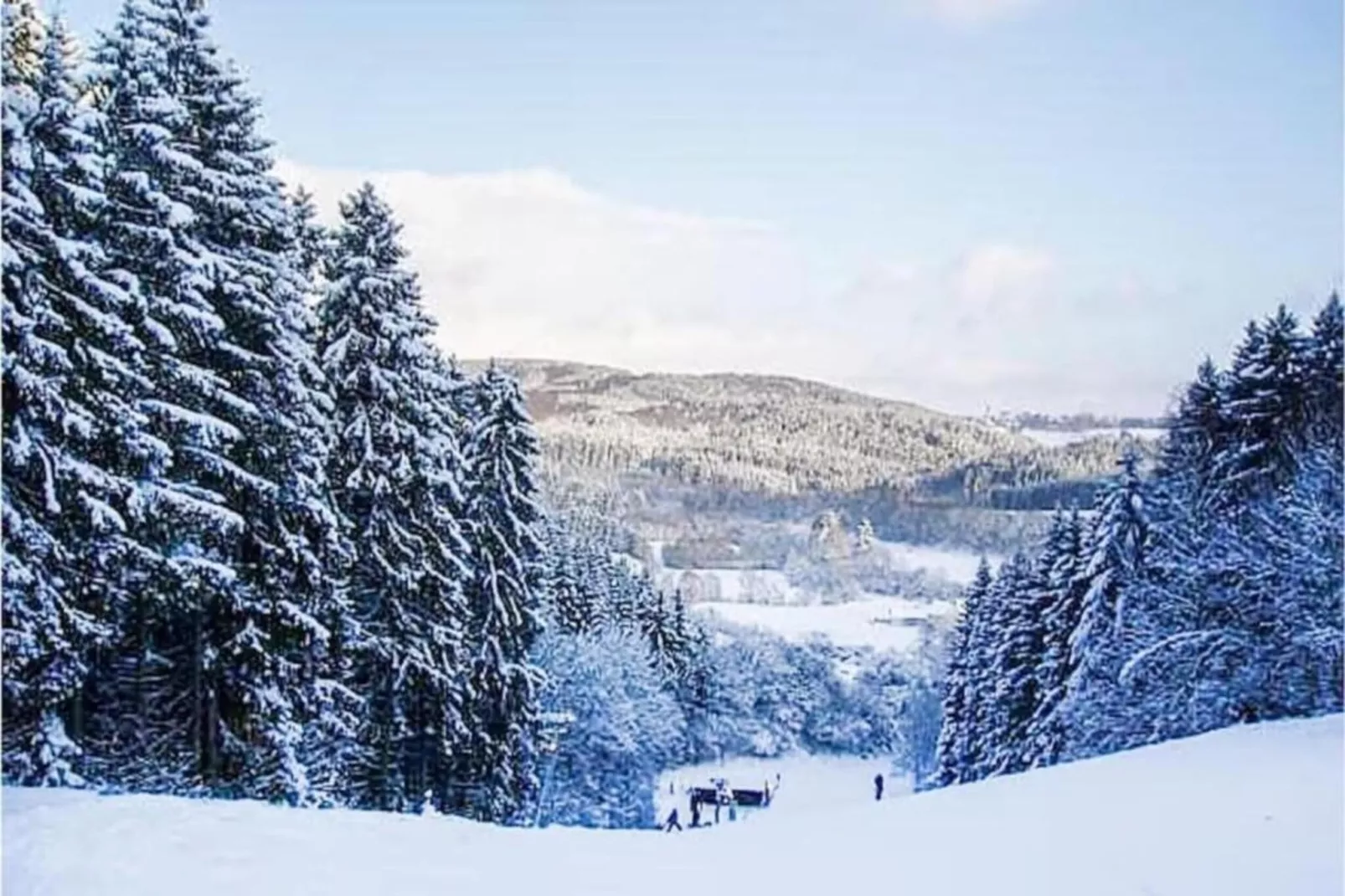 Feinen-Steils-Areas within 20km in summer