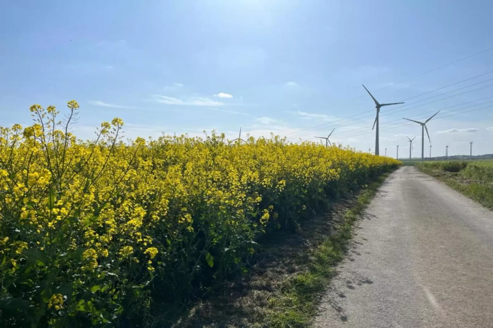 Kaifenheimer Mühle 2-Areas within 20km in summer