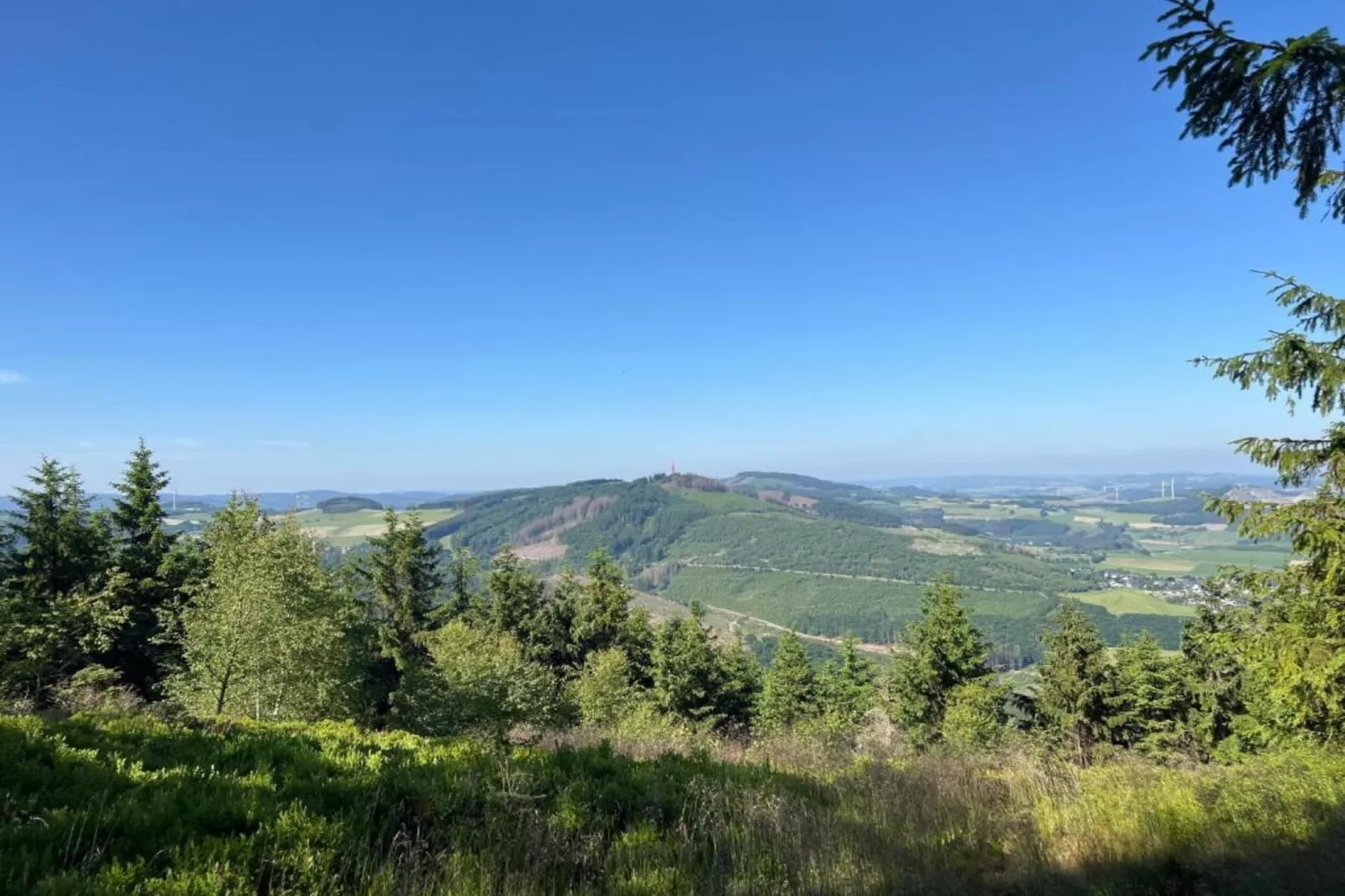 Im Ries-Gebiete Sommer 5 km