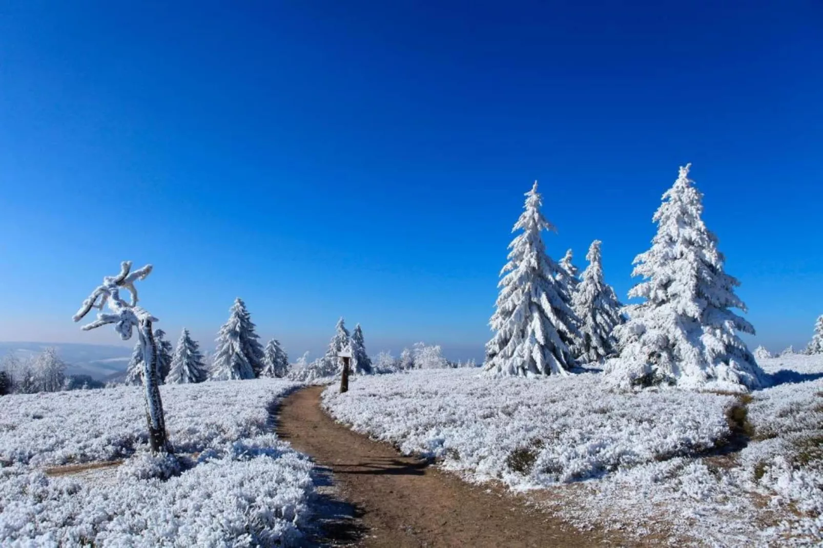 Am Astenberg-Area within 1km in winter