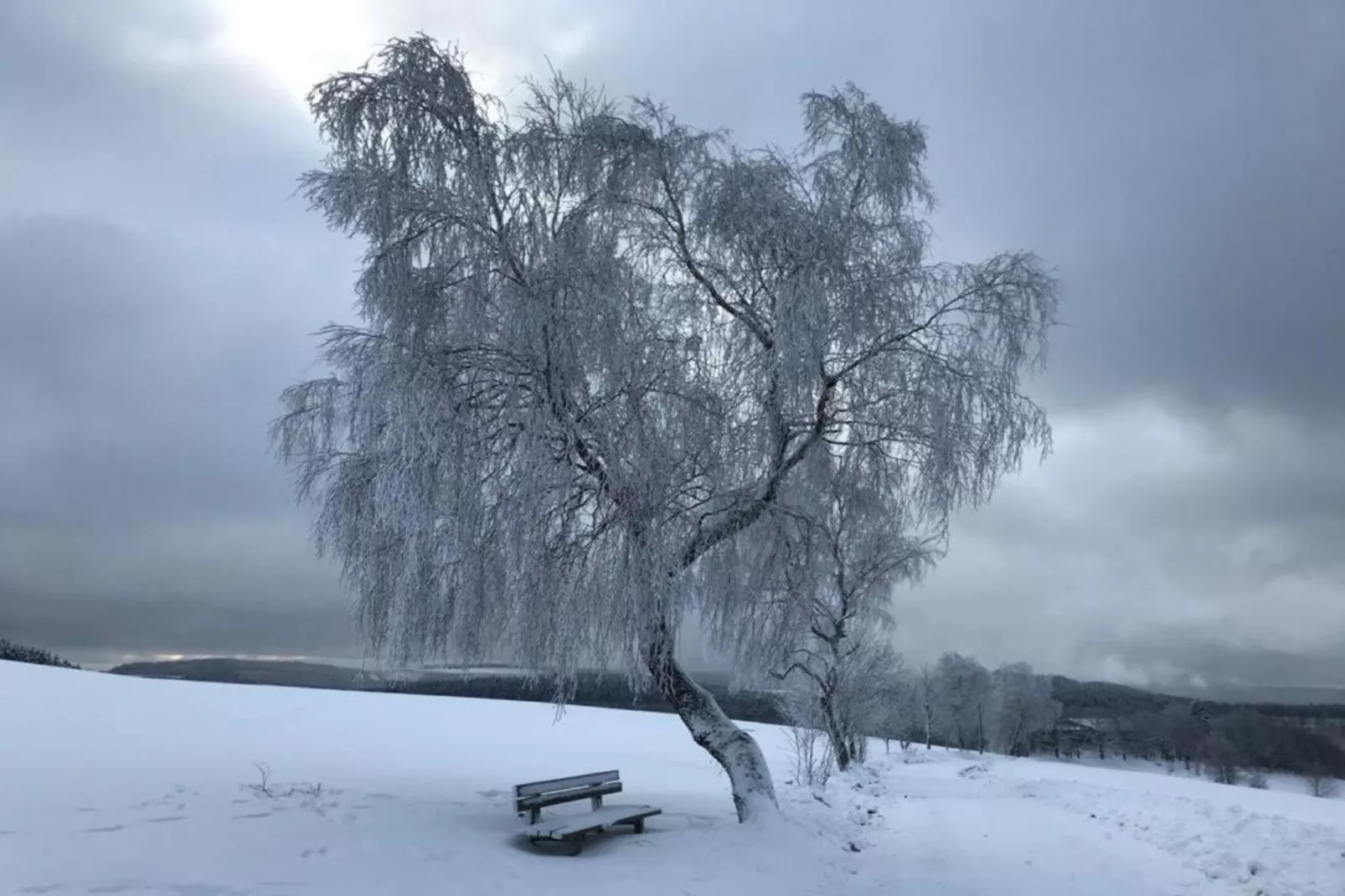 Küstelberg-Gebiet Winter 20 km