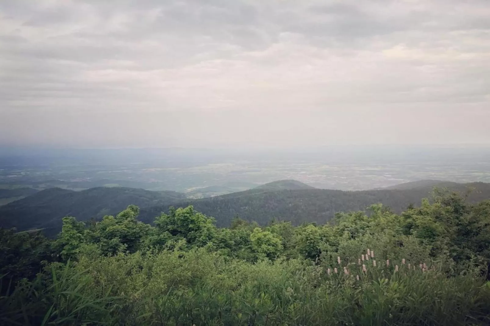 Kniebis-Areas within 20km in summer
