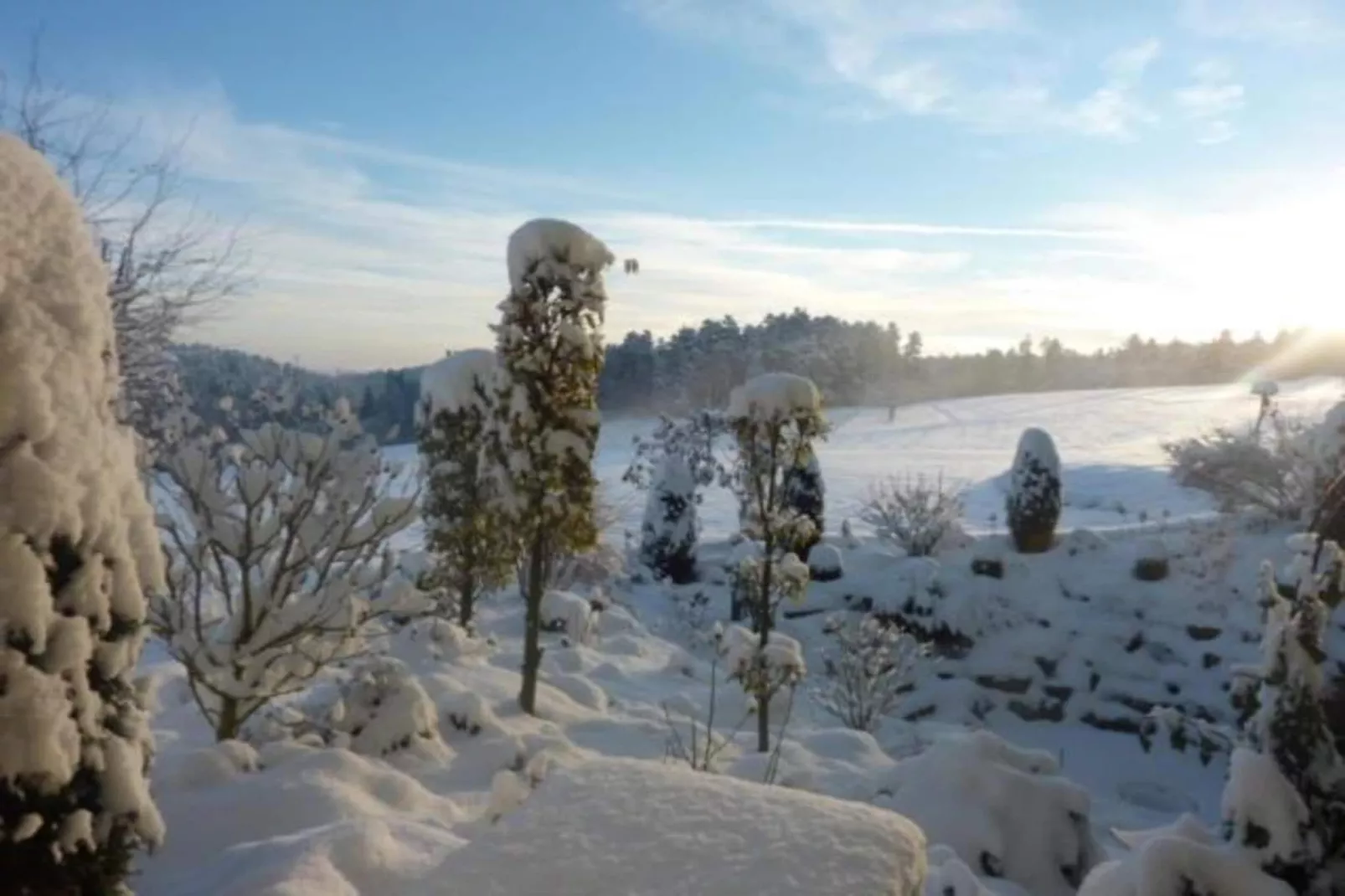 Marianne-Area within 20km in winter