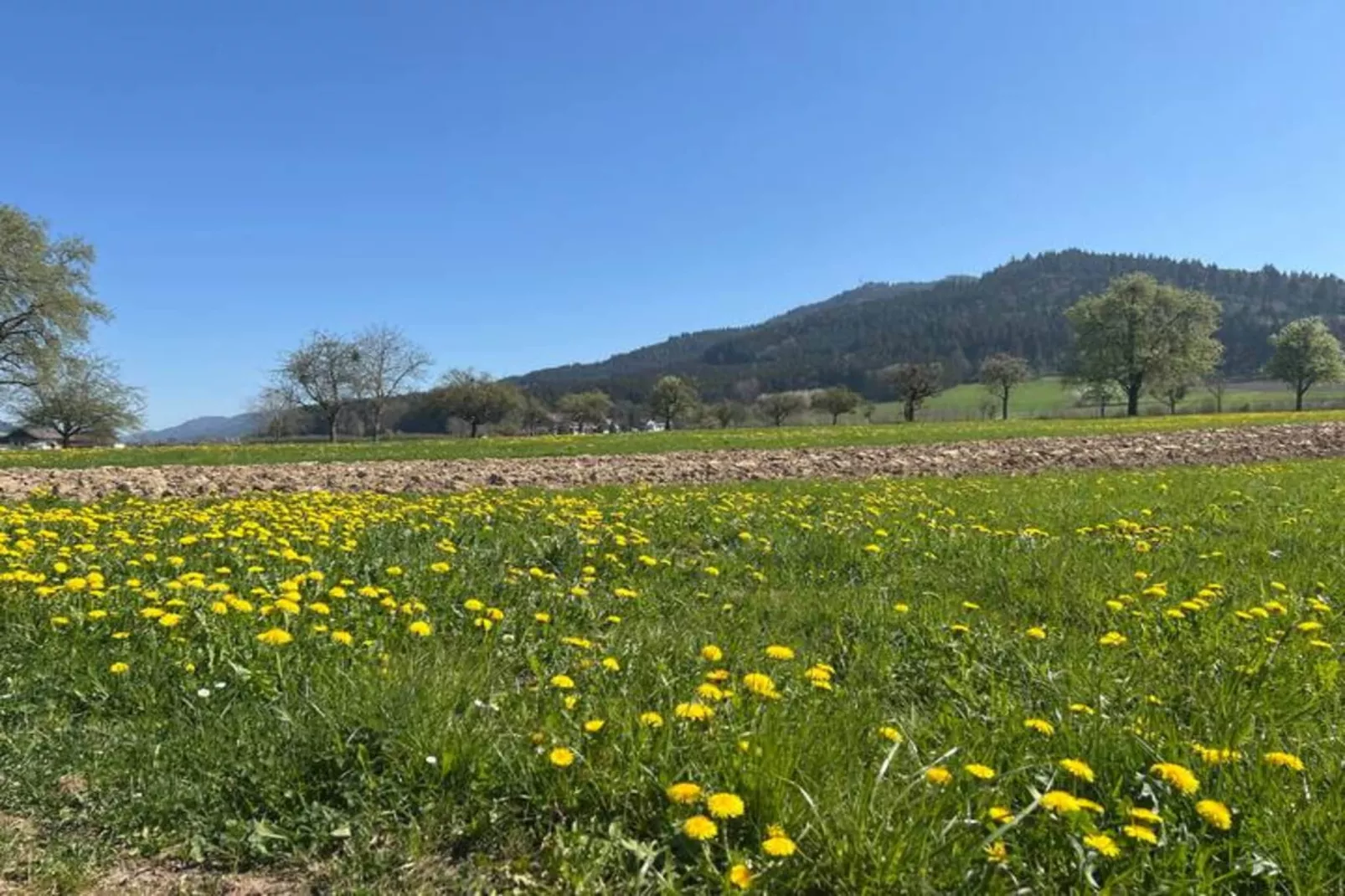 Am Stulzenhof-Areas within 20km in summer