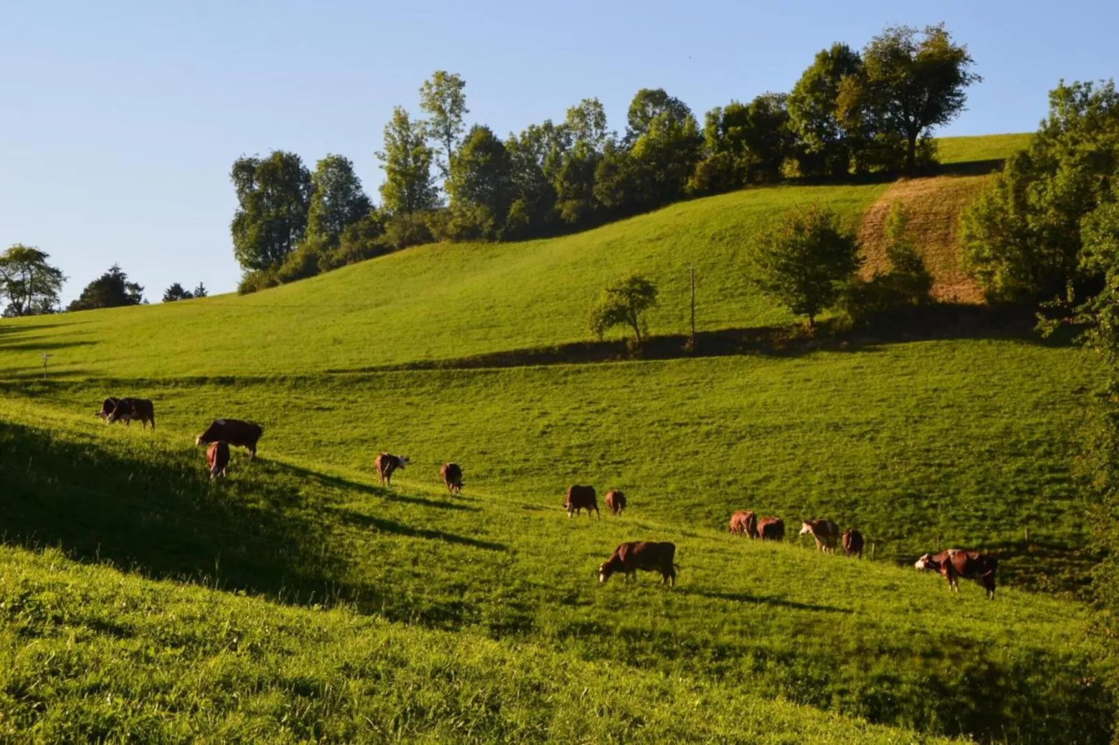 Panoramablick-Areas within 20km in summer