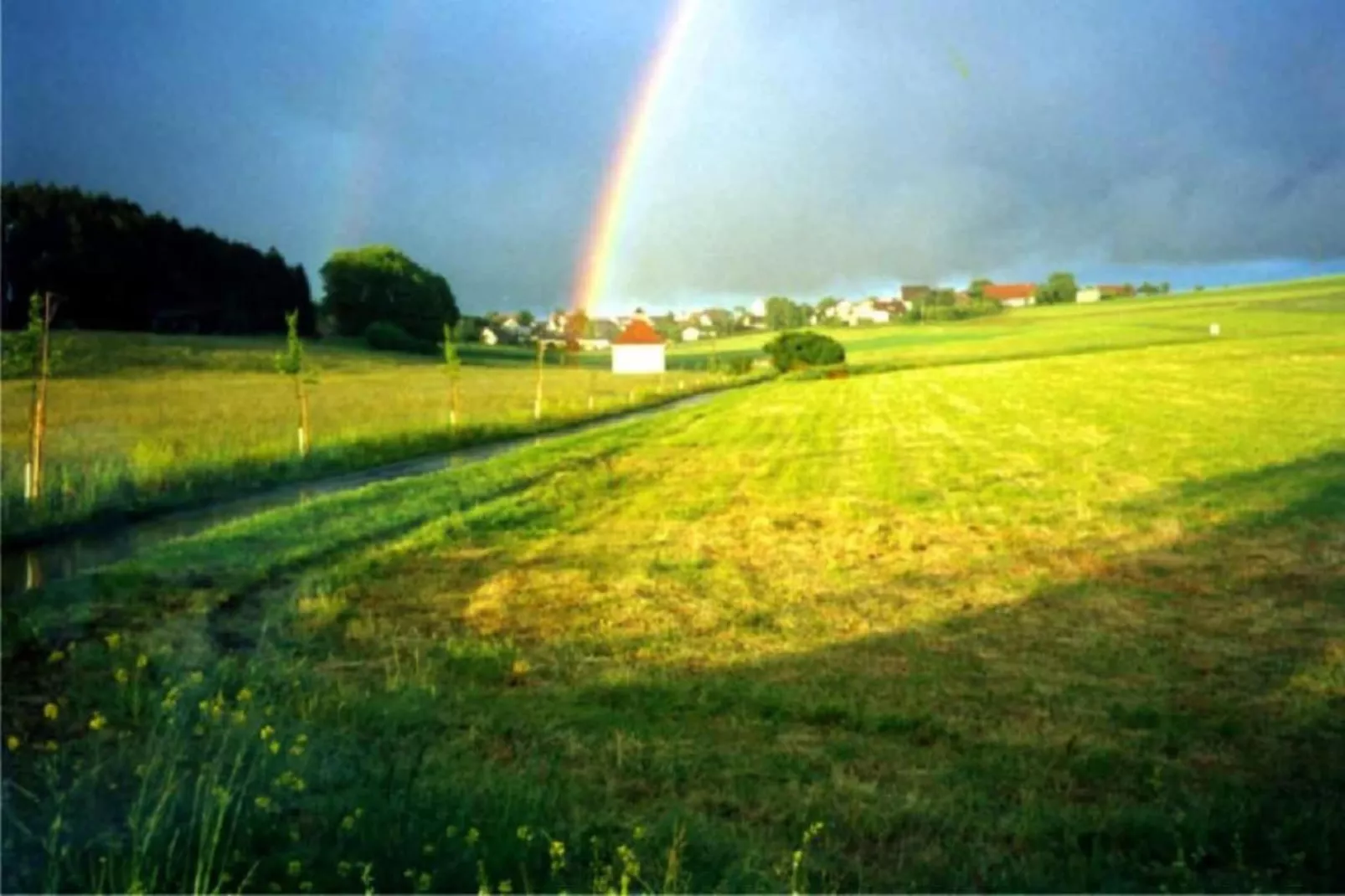 Park Blick-Gebiete Sommer 20 km