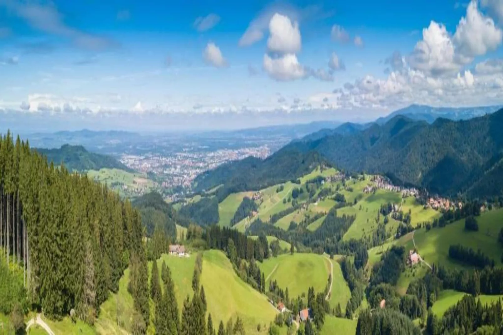 Schwarzwald-Gebiete Sommer 20 km