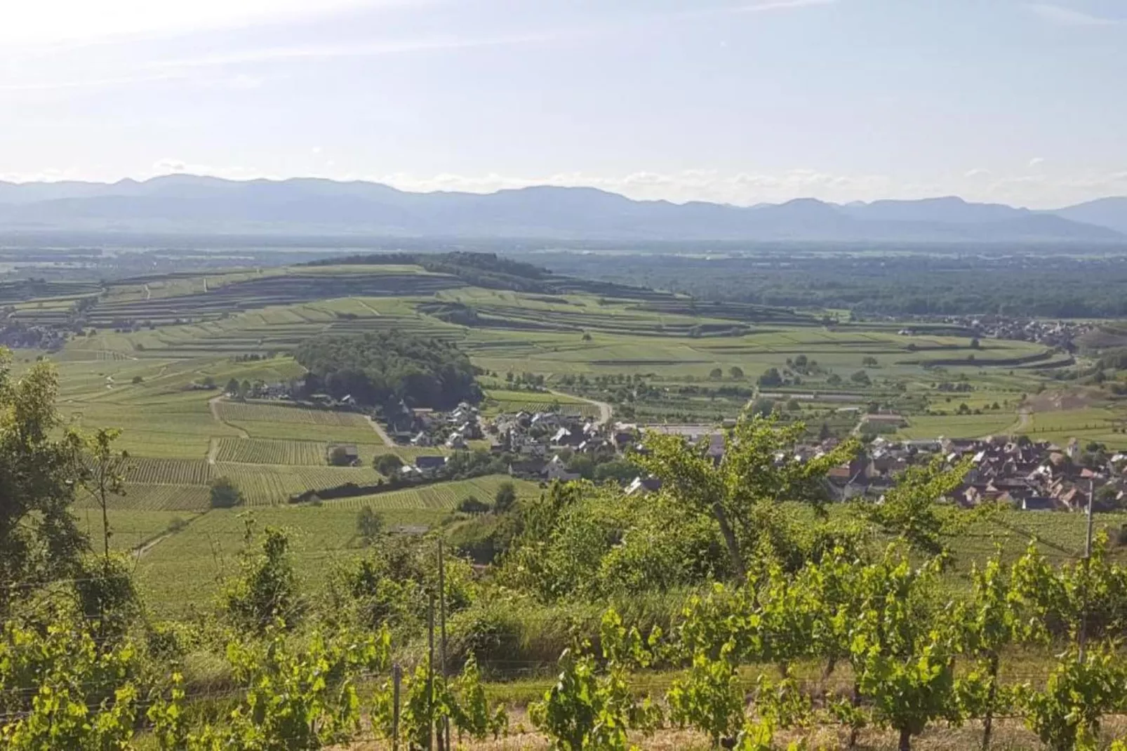 Schwarzwald-Gebiete Sommer 20 km