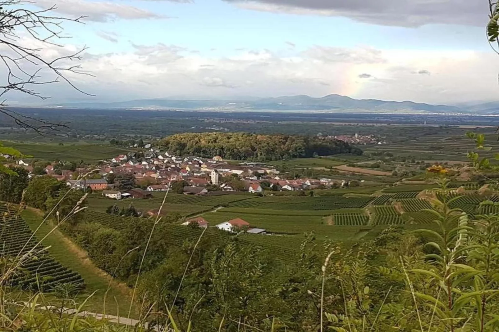 Ferienwohnung Franz-Areas within 20km in summer