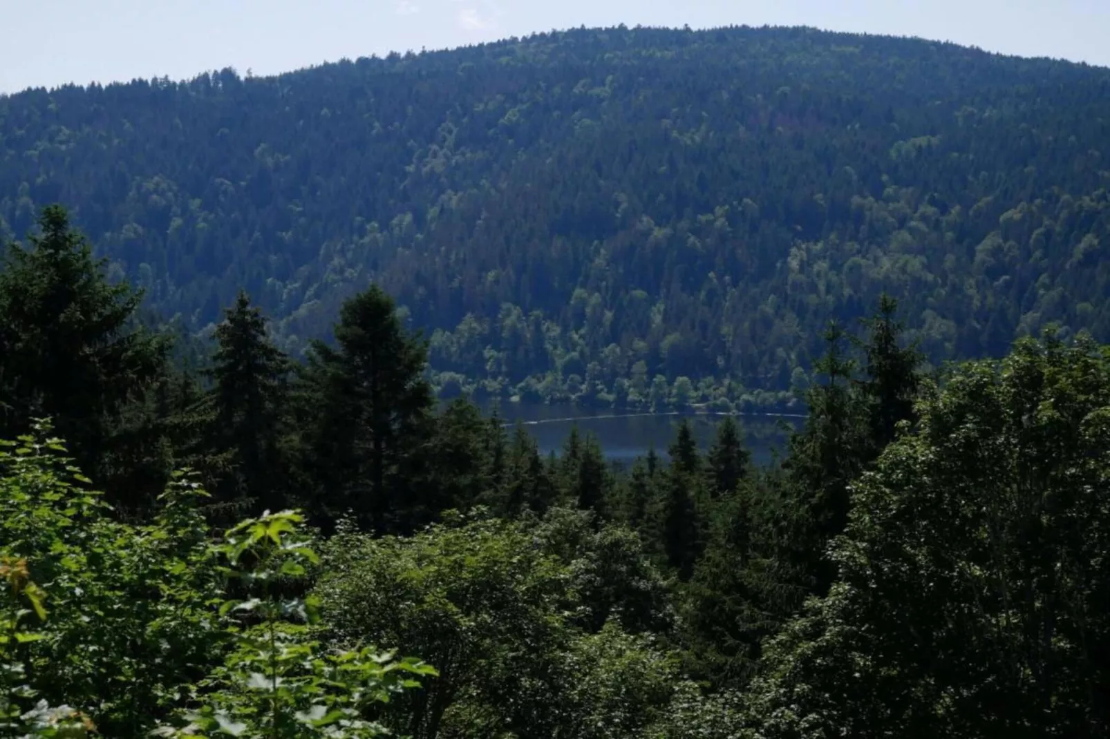 Schwarzwaldhaus Pferdeklause-Areas within 20km in summer