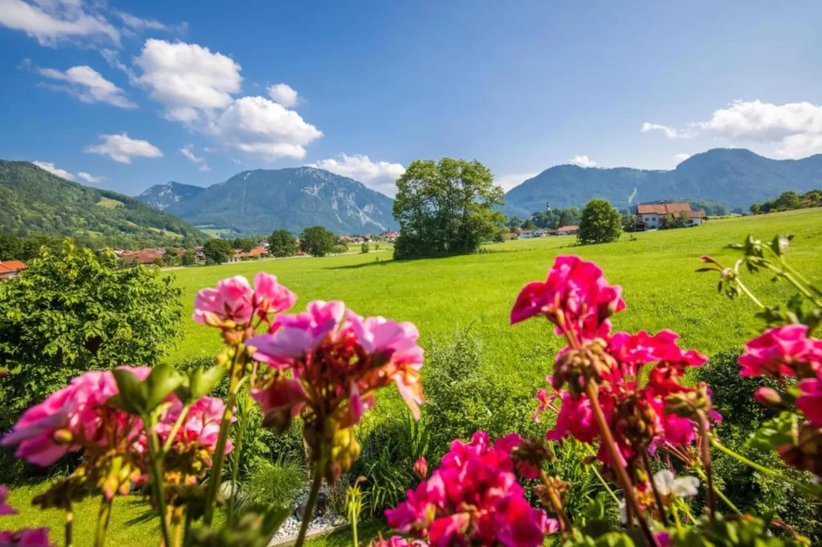 Haus in den Alpen-Areas within 20km in summer