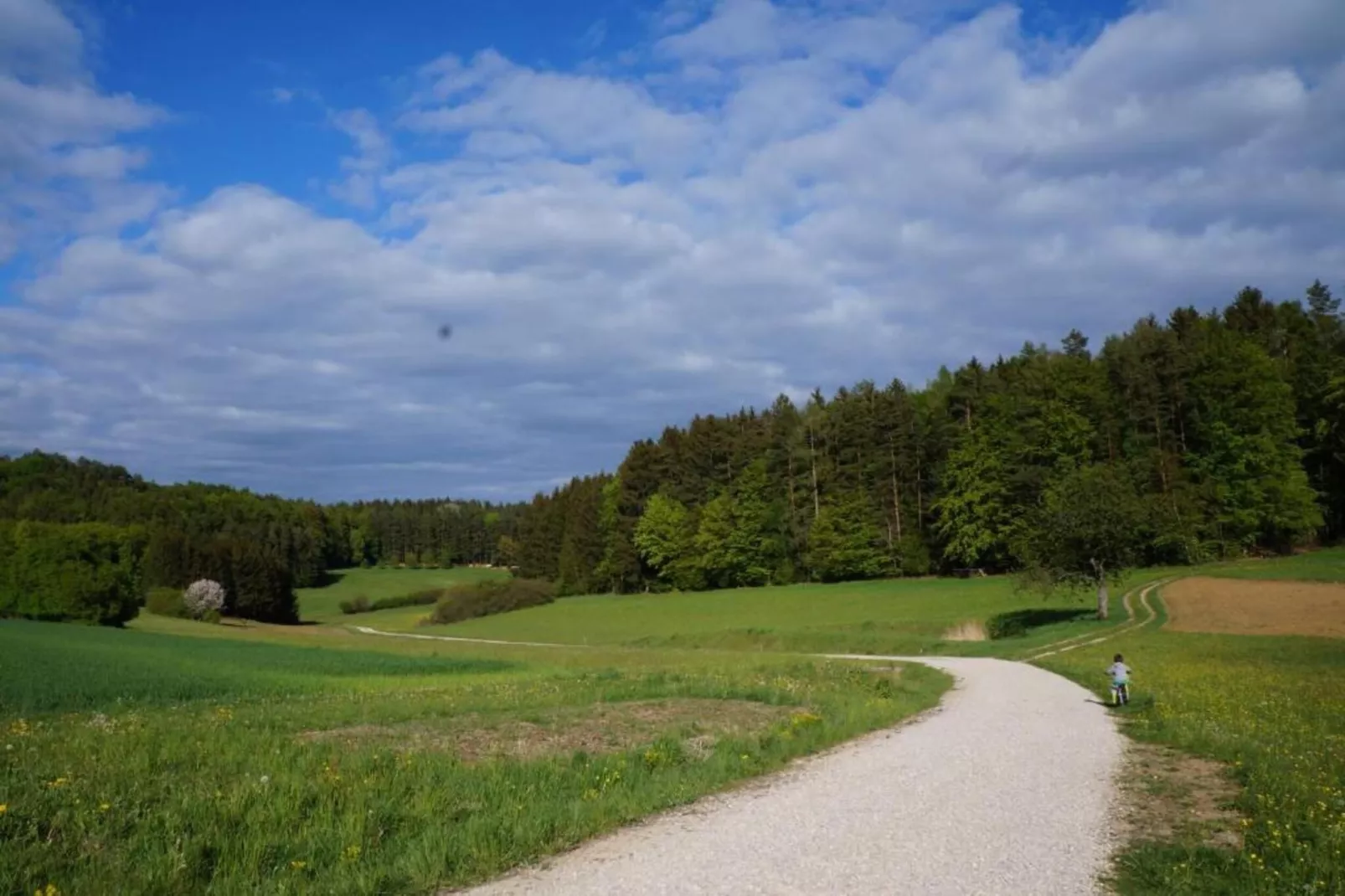 Ferienwohnung Haunsheim links-Gebiete Sommer 20 km