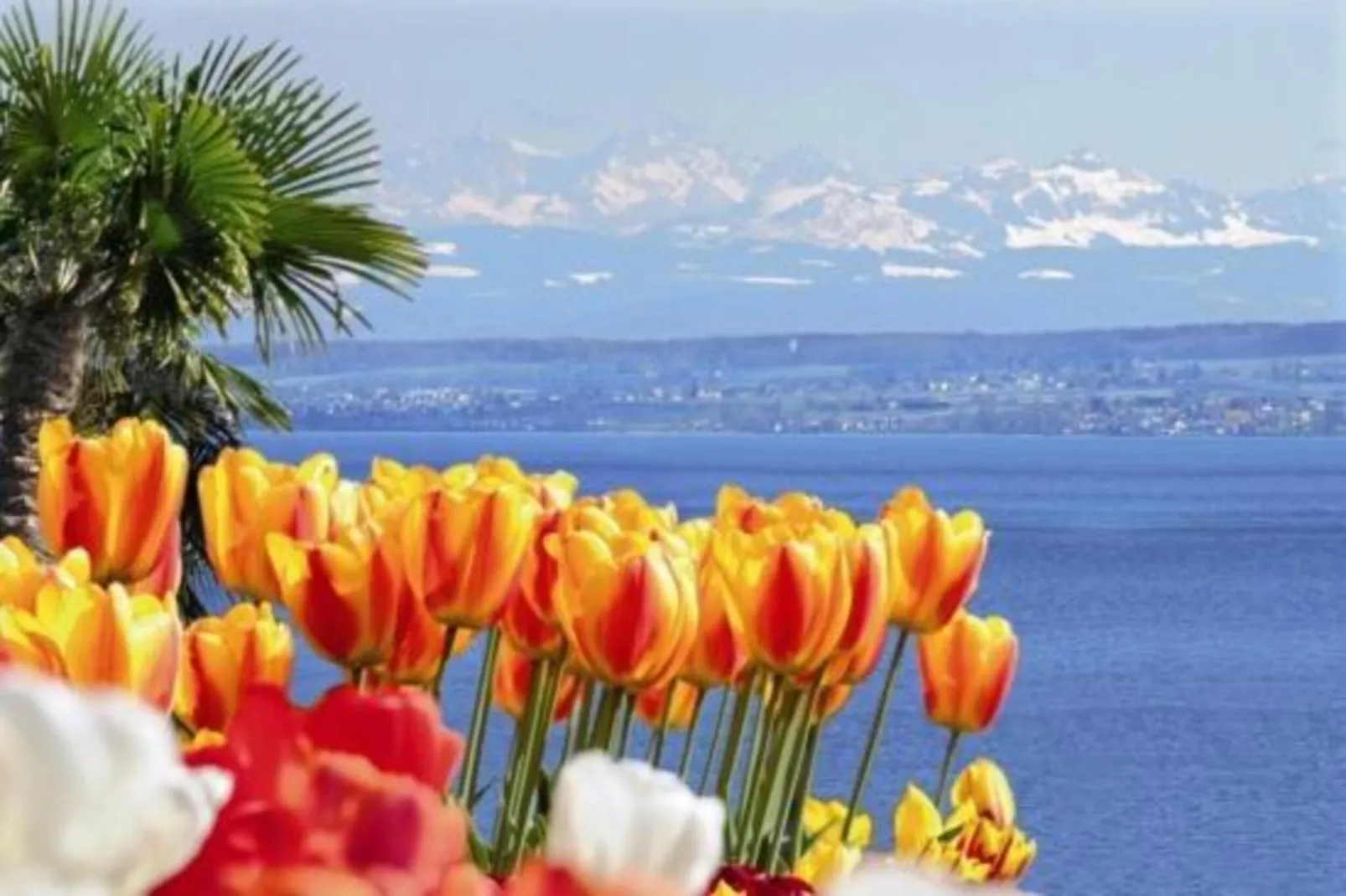 Am Bodensee-Zones été à 20 km