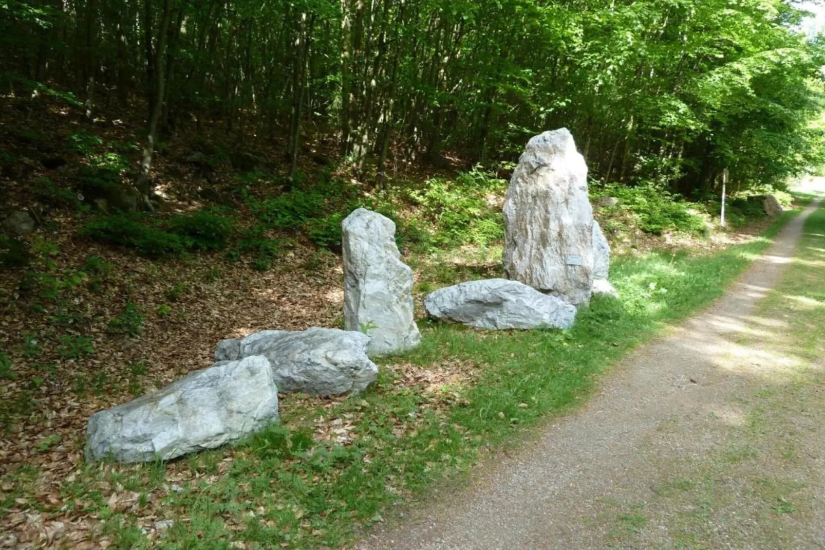 Morgensonne-Areas within 20km in summer