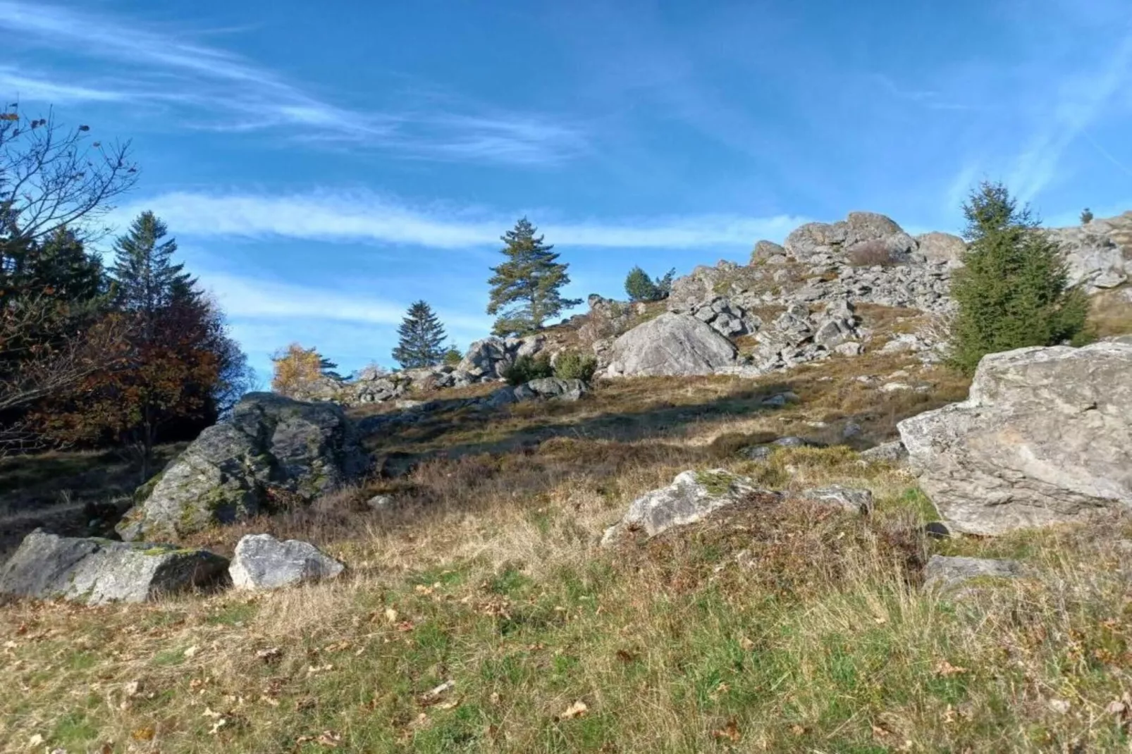 Schloßbergblick-Areas within 20km in summer