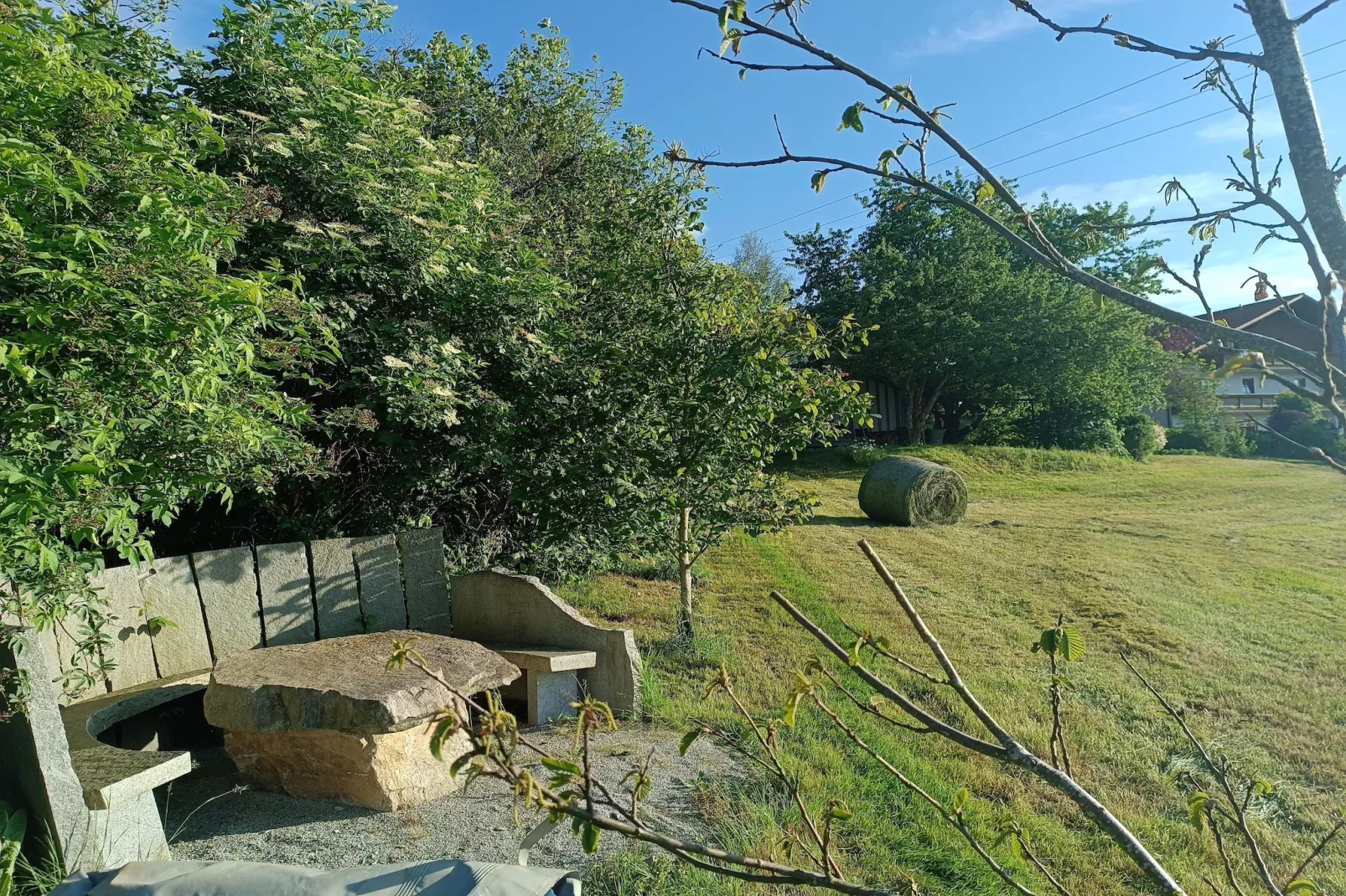 Holecek-Gardens in summer