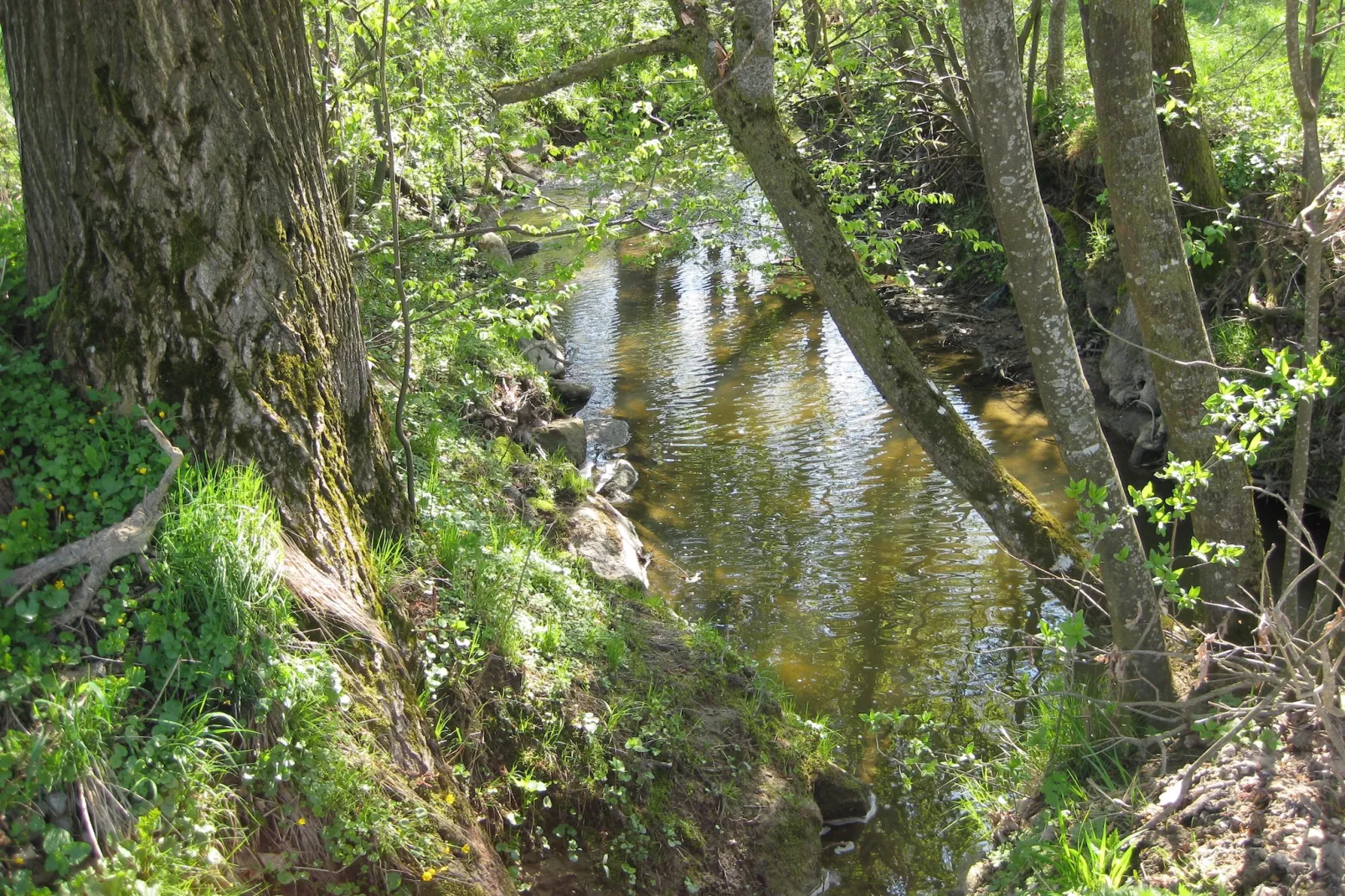Am Ferienhof-Gebiete Sommer 5 km