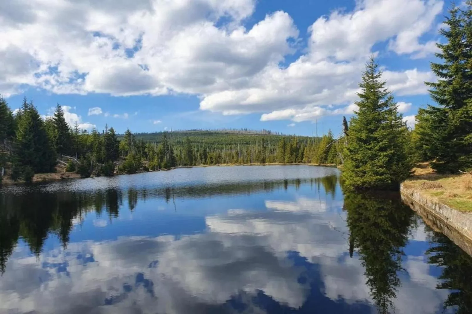 Bayerischer Wald-Areas within 20km in summer