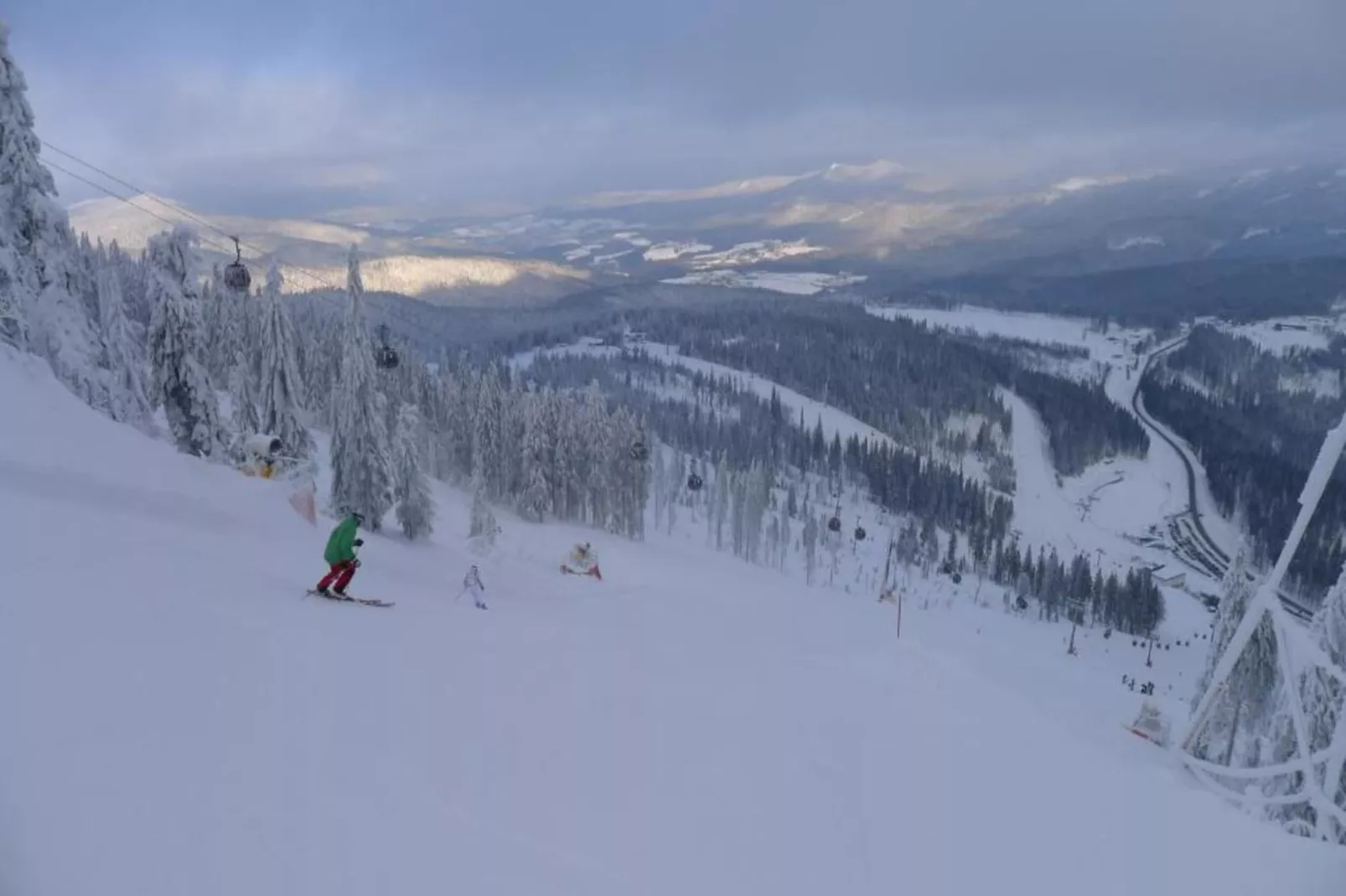 Bayerwald-Area within 20km in winter