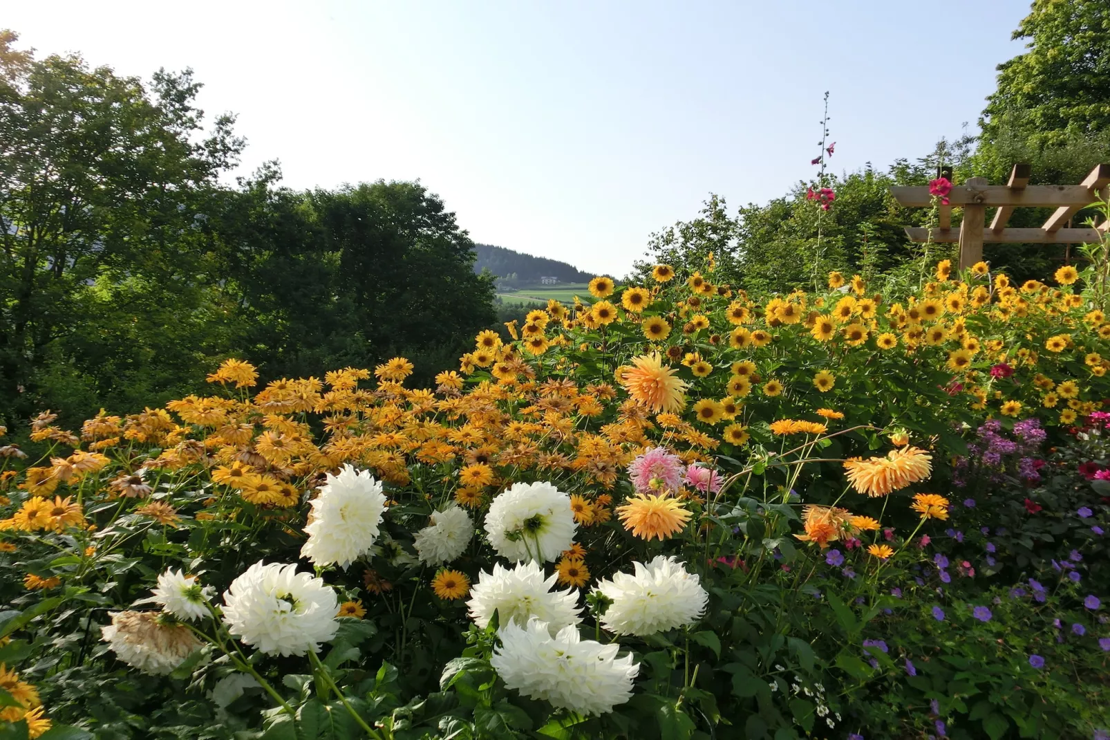 Bayerischer Wald-Gardens in summer