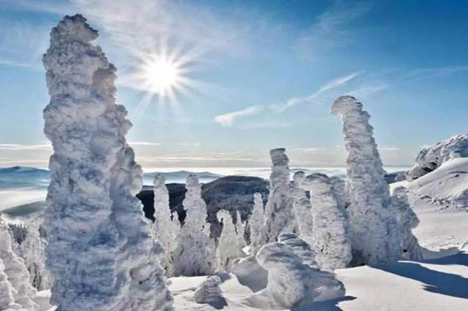 Kreut-Area within 20km in winter