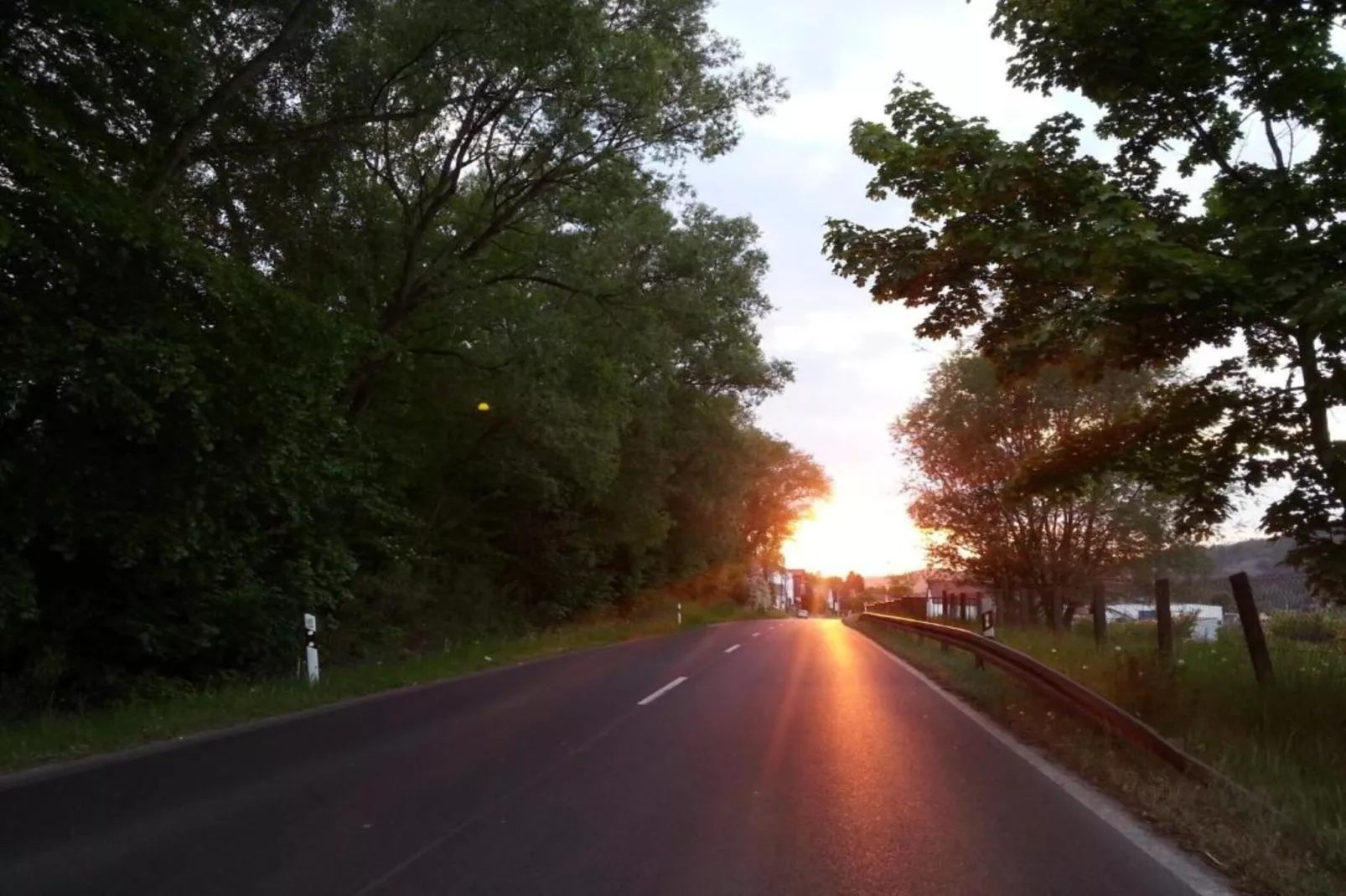 Mosbach-Areas within 5km in summer