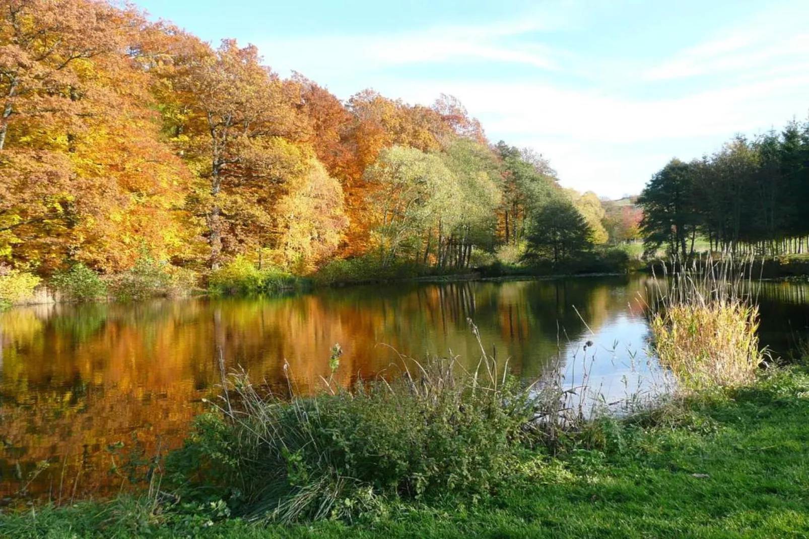 Am Sandberg-Areas within 20km in summer