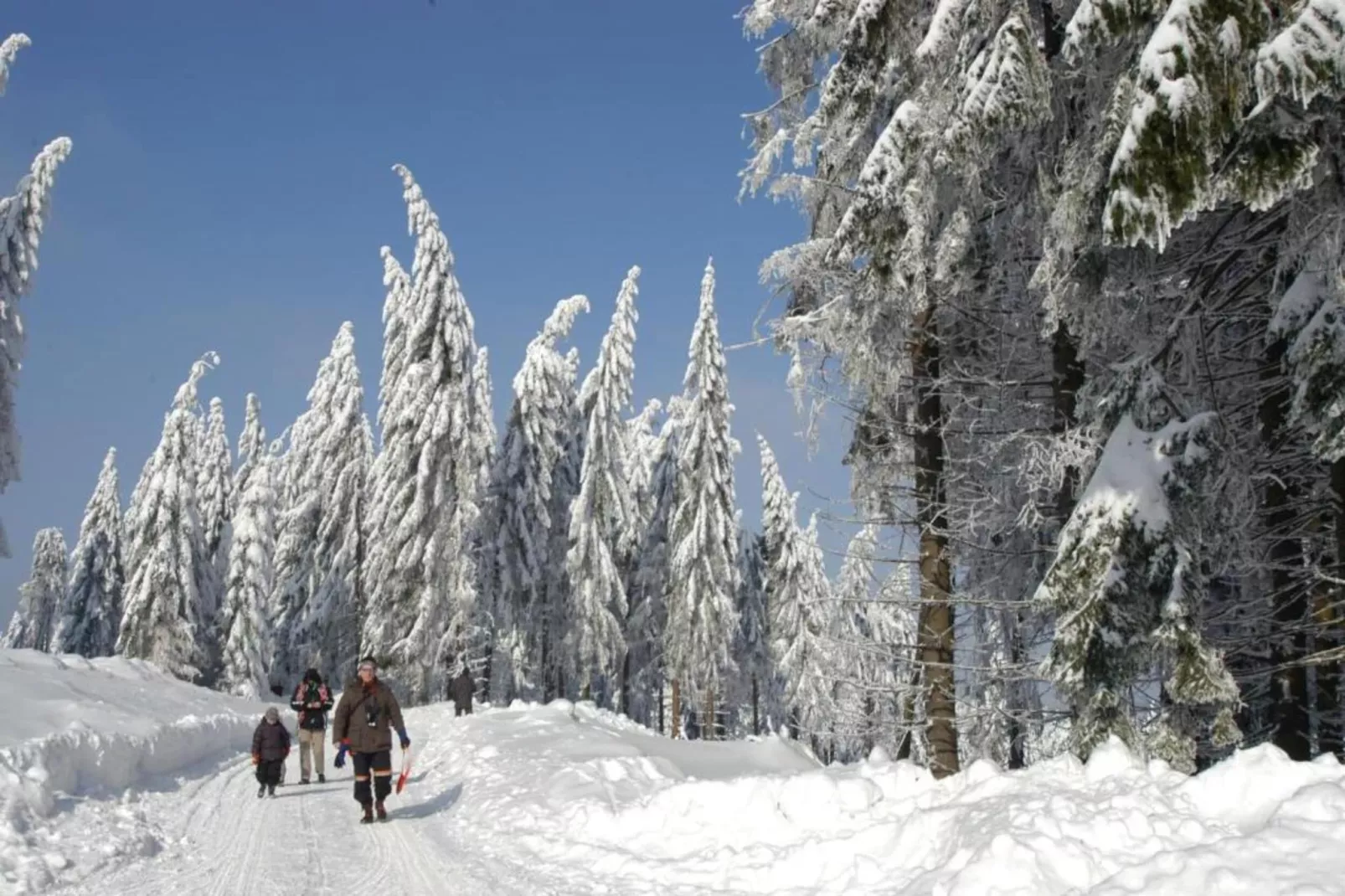 Ferienhaus im Thüringer Wald-Area within 5km in winter