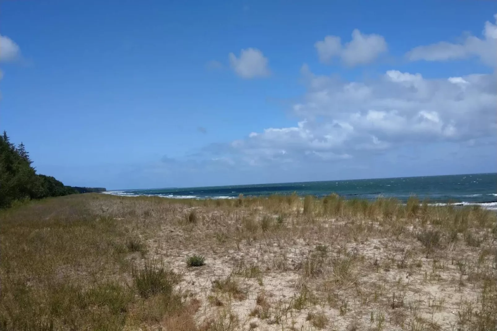 Seeadler 42-Areas within 1km in summer