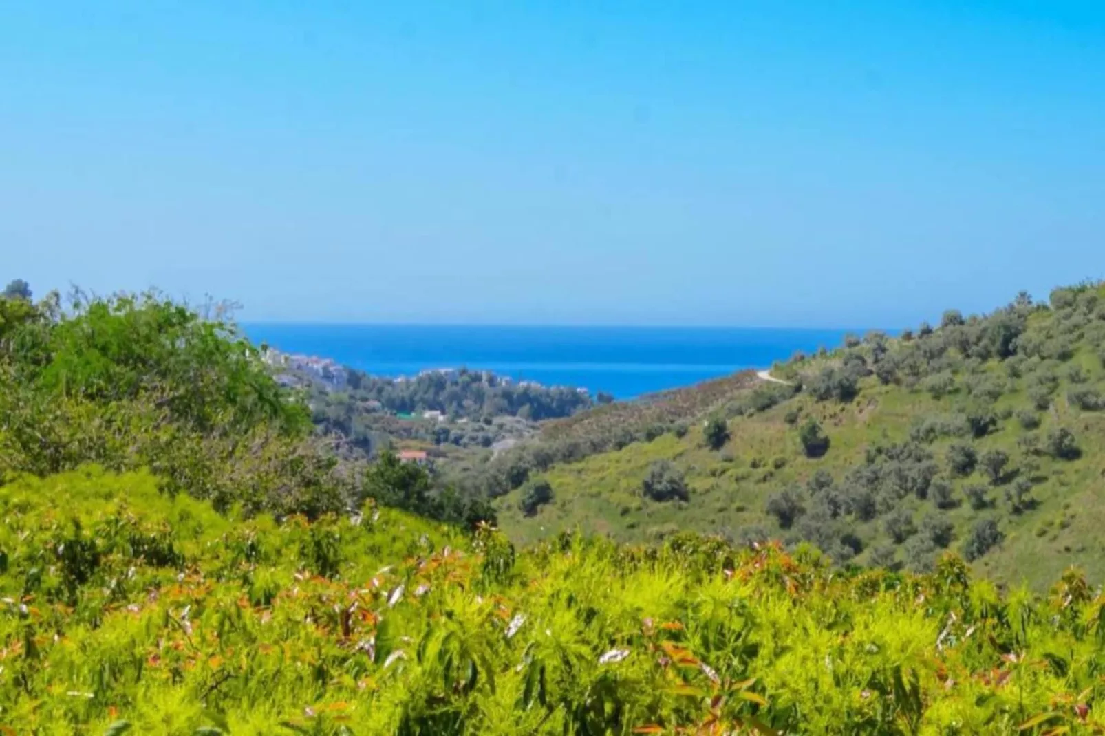 Cortijo Albaricoque-Areas within 20km in summer