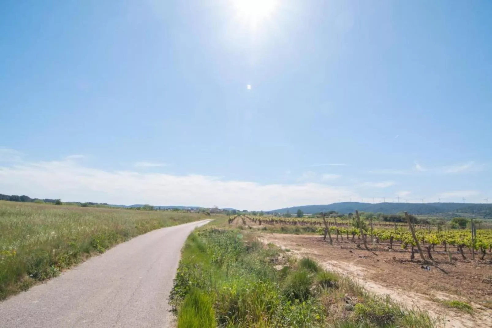 Gite Rozieres-Areas within 20km in summer