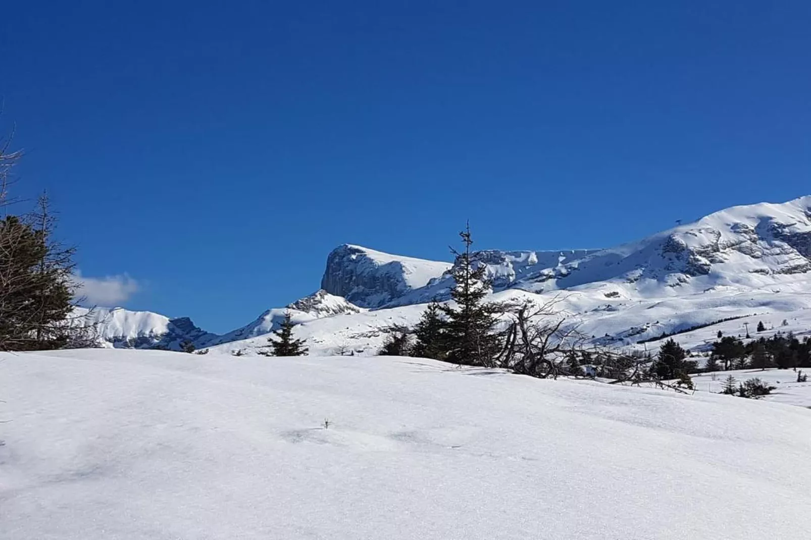 L'Orée des Pistes 1-Zones hiver à 20 km