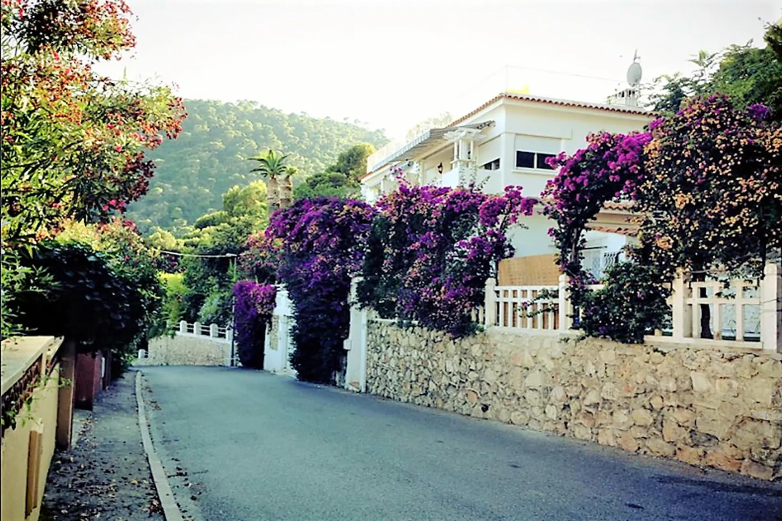 Antonino-Areas within 1km in summer