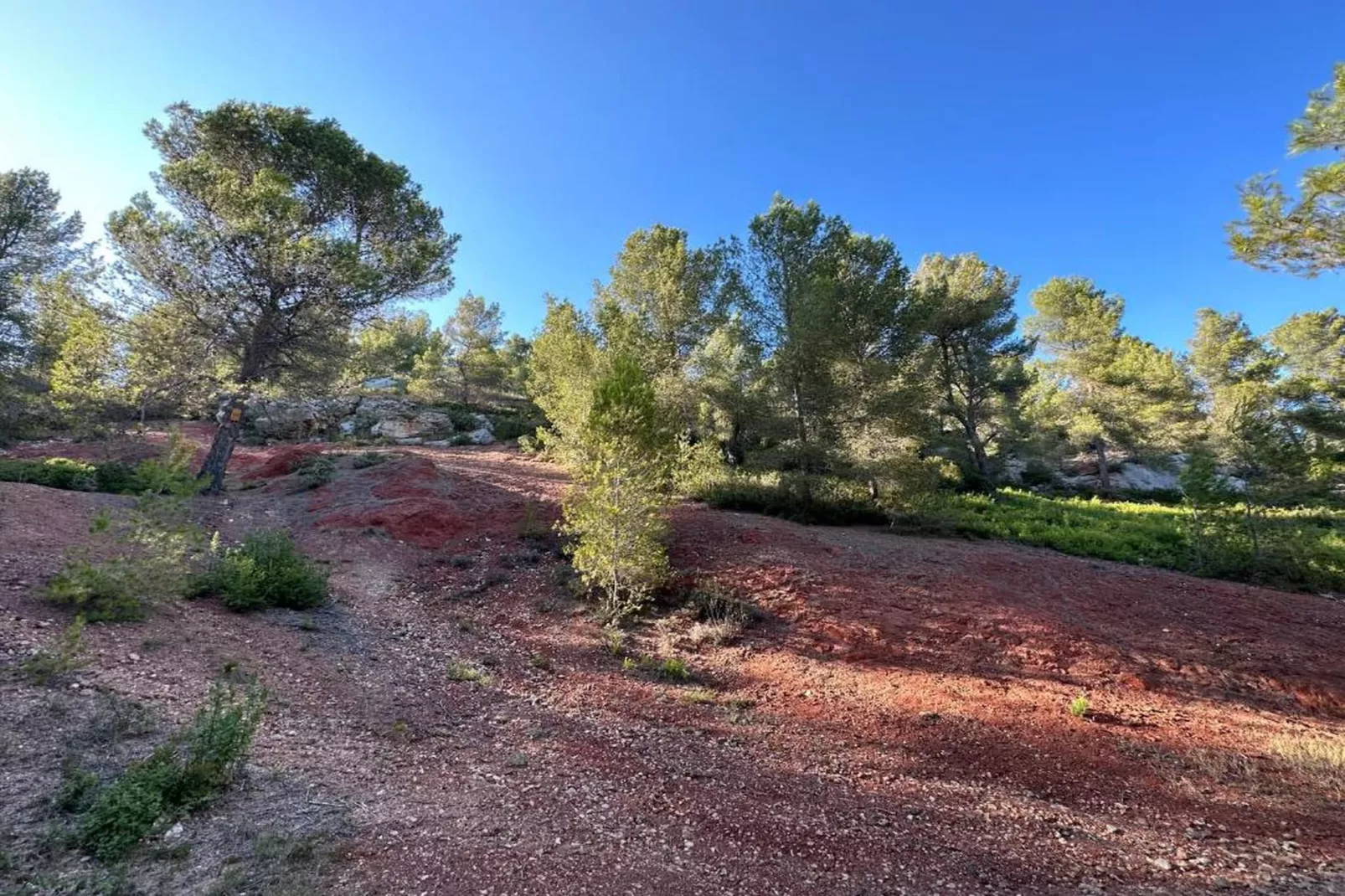 Rèsidence Le Mas des Alpilles 1-Areas within 20km in summer