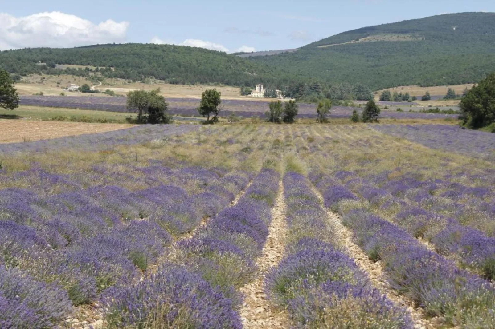 Maison de vacances - LUS-LA CROIX-HAUTE-Areas within 20km in summer