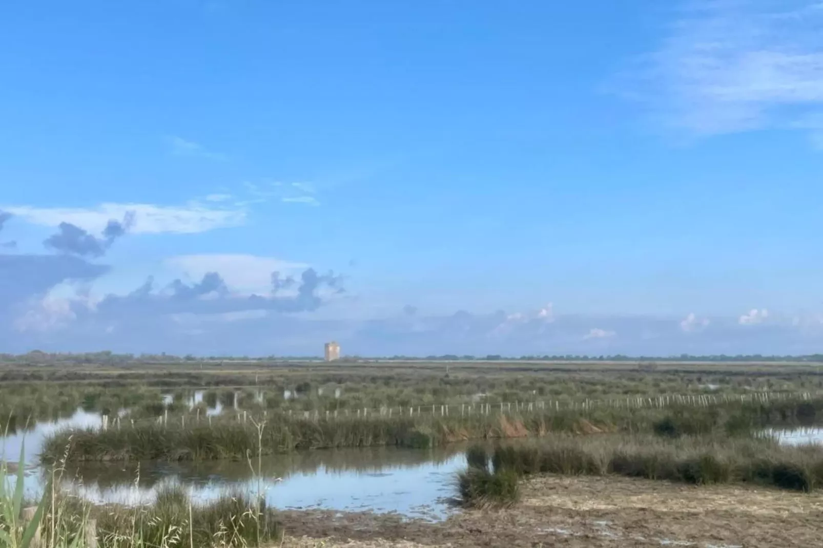 Fleur de Sel - Aigues Mortes 3-Areas within 5km in summer