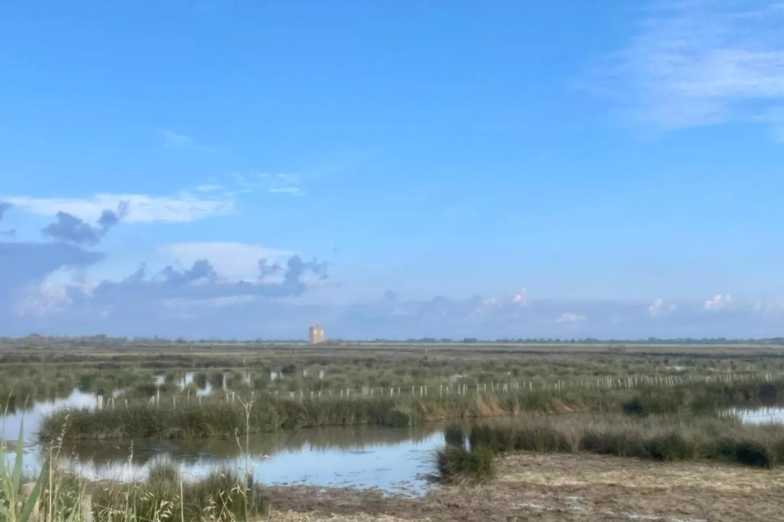 Fleur de Sel - Aigues Mortes 1-Areas within 5km in summer
