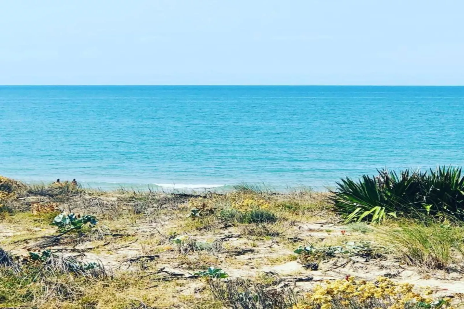 Atlantic Green 2-Gebiete Sommer 20 km