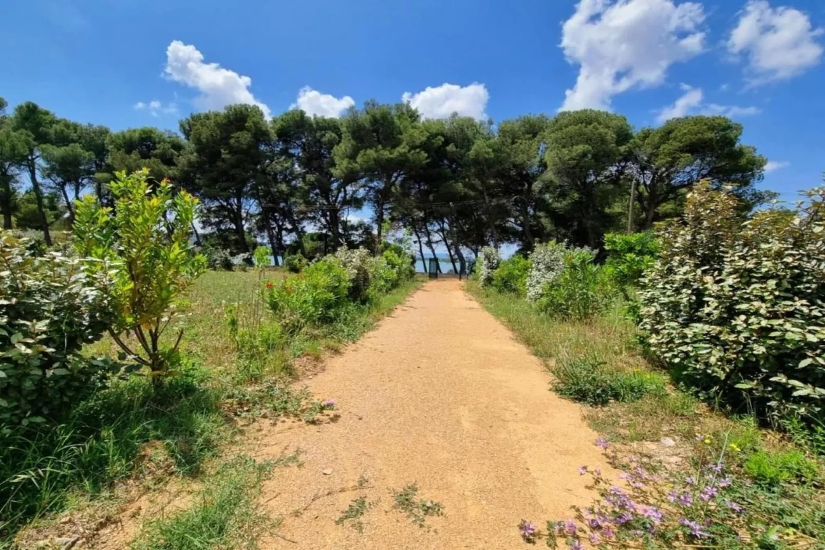Le Loft-Areas within 20km in summer