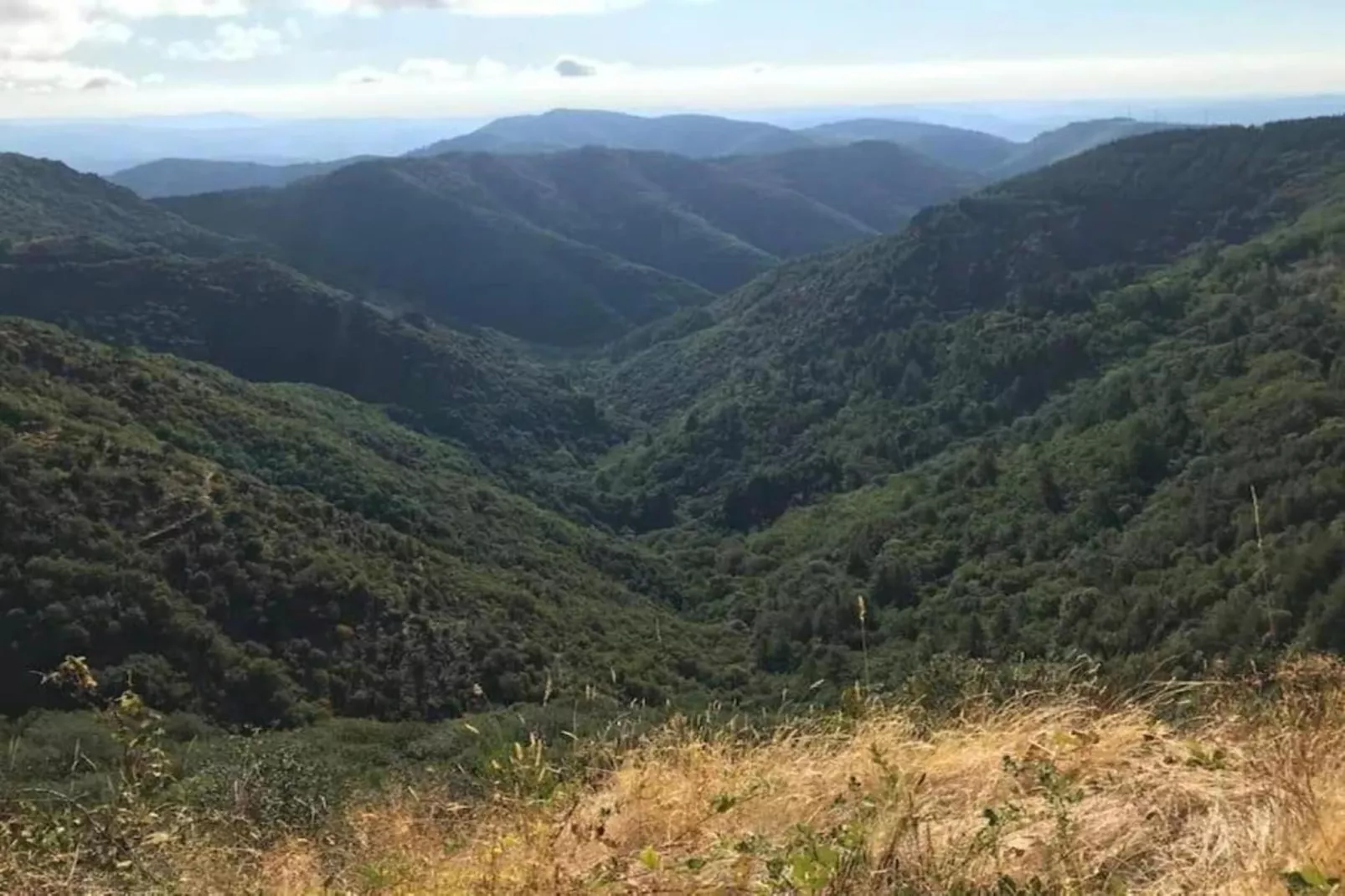 La rosalie-Zones été à 5 km