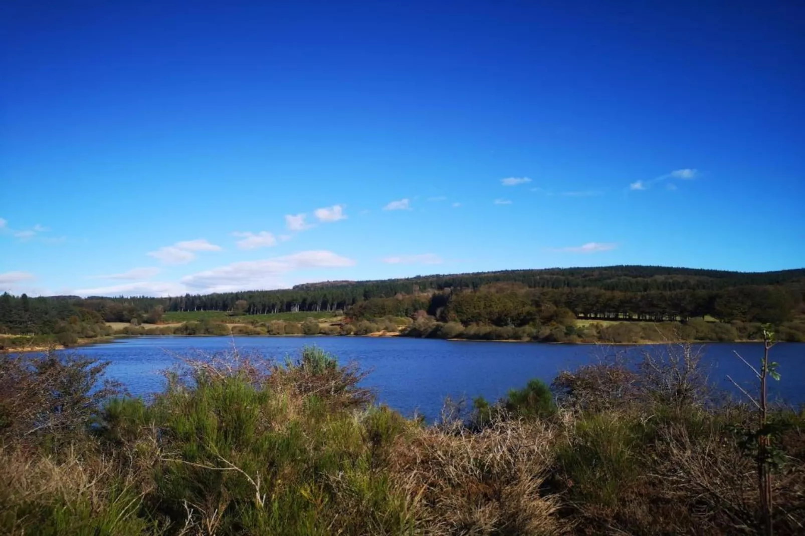 Domaine Courniou-Zones été à 5 km