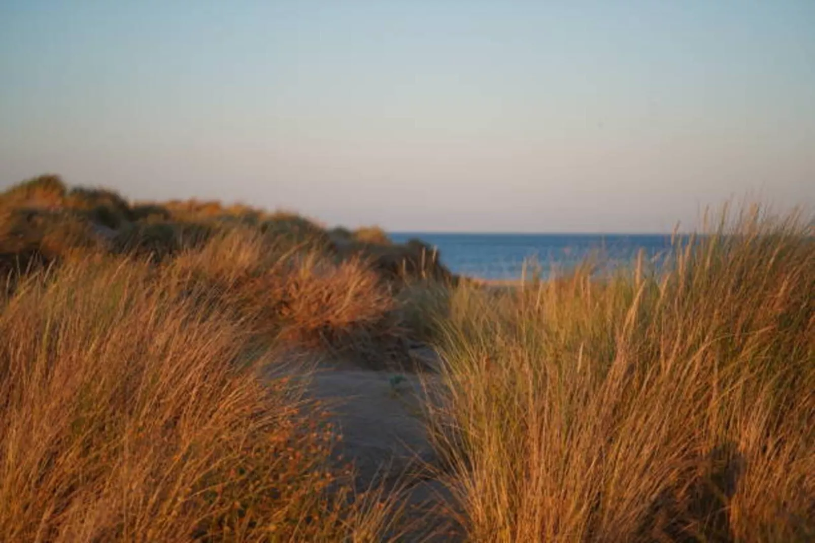 Résidence La Dune 1-Gebiete Sommer 20 km
