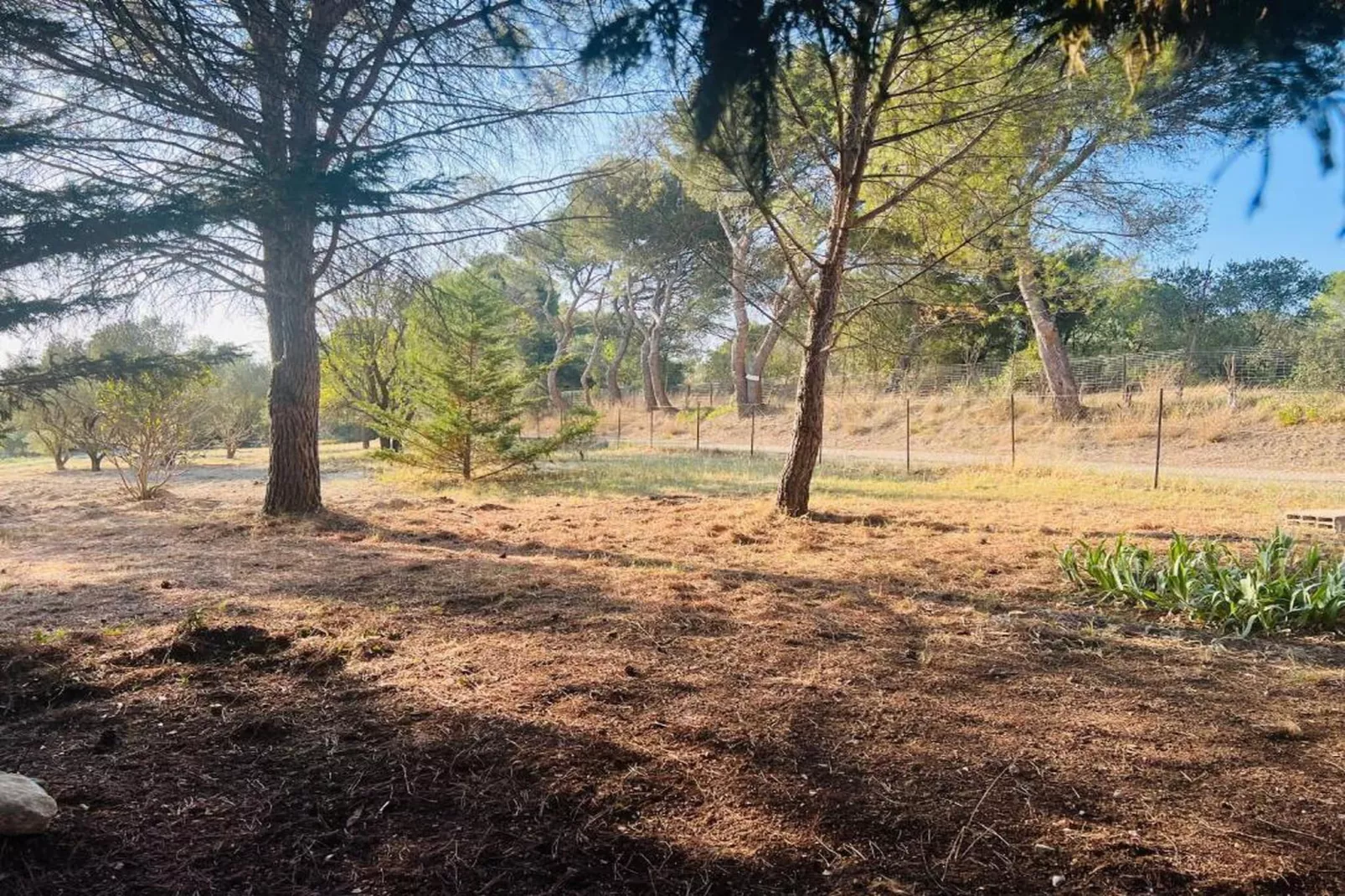 Le Domaine d'Enserune 3-Areas within 20km in summer