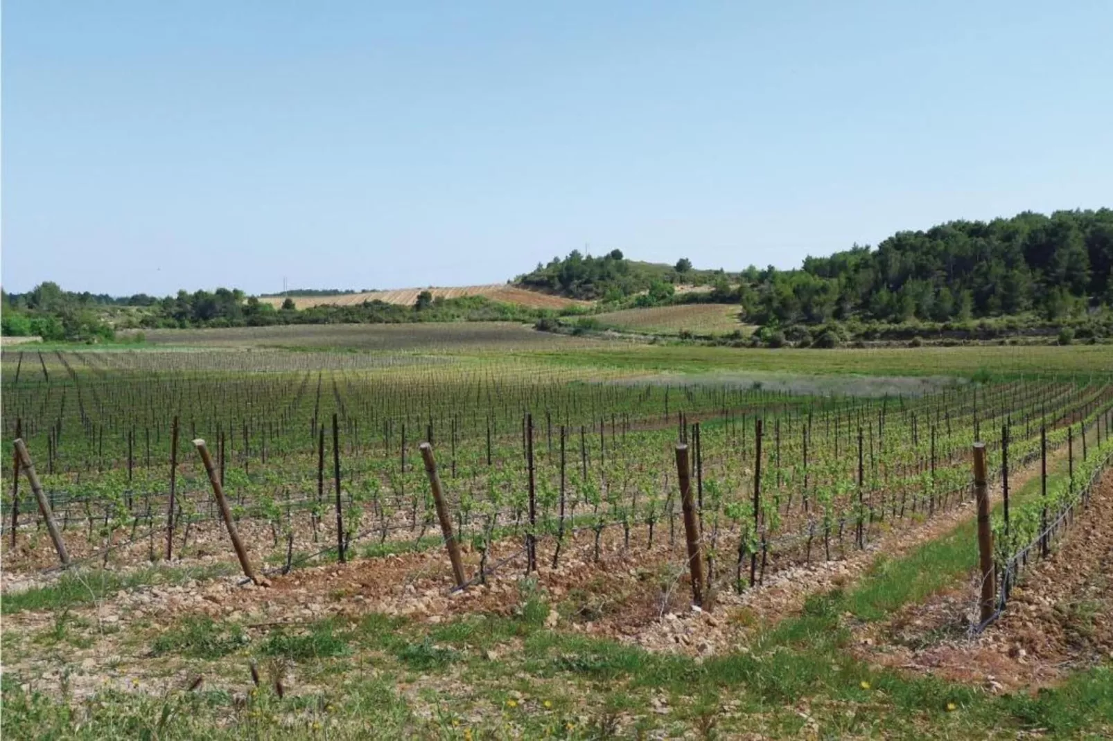 MAISON MONFORT-Zones été à 5 km
