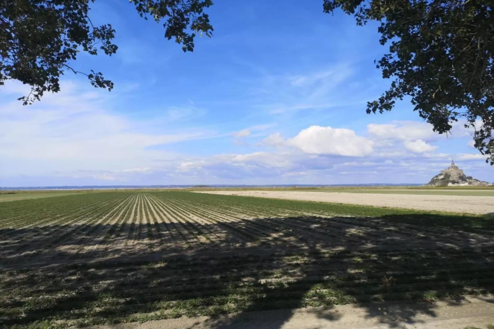 Le Domaine du Mont 3-Gebiete Sommer 20 km