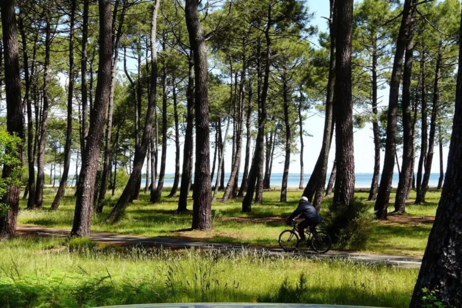 Le Domaine des Grands Lacs 1-Zones été à 5 km