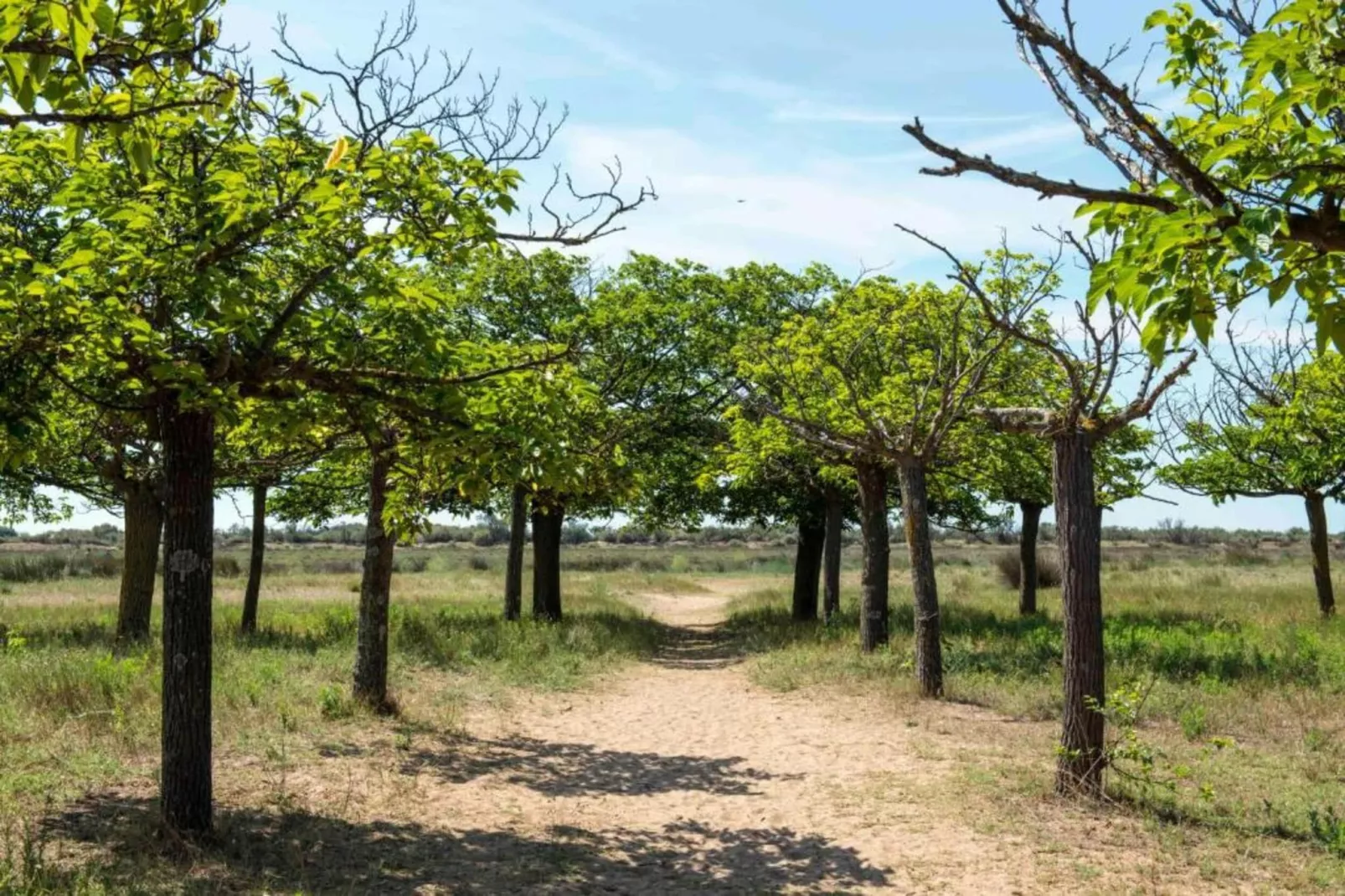 Maison des Vacances Ravenoville-Gebiete Sommer 20 km