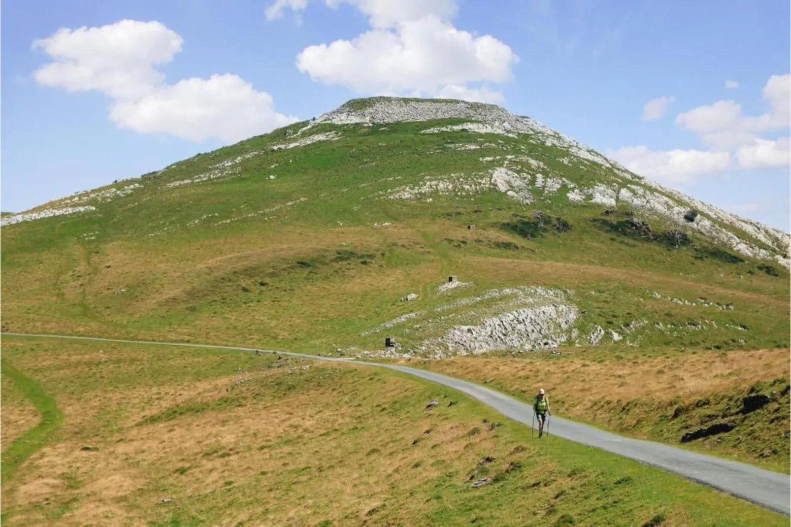 Les Collines Iduki 1-Areas within 20km in summer